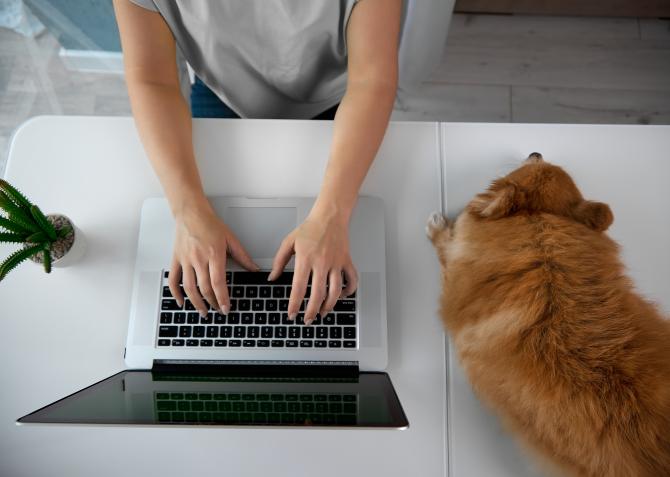remote worker at desk with laptop and dog