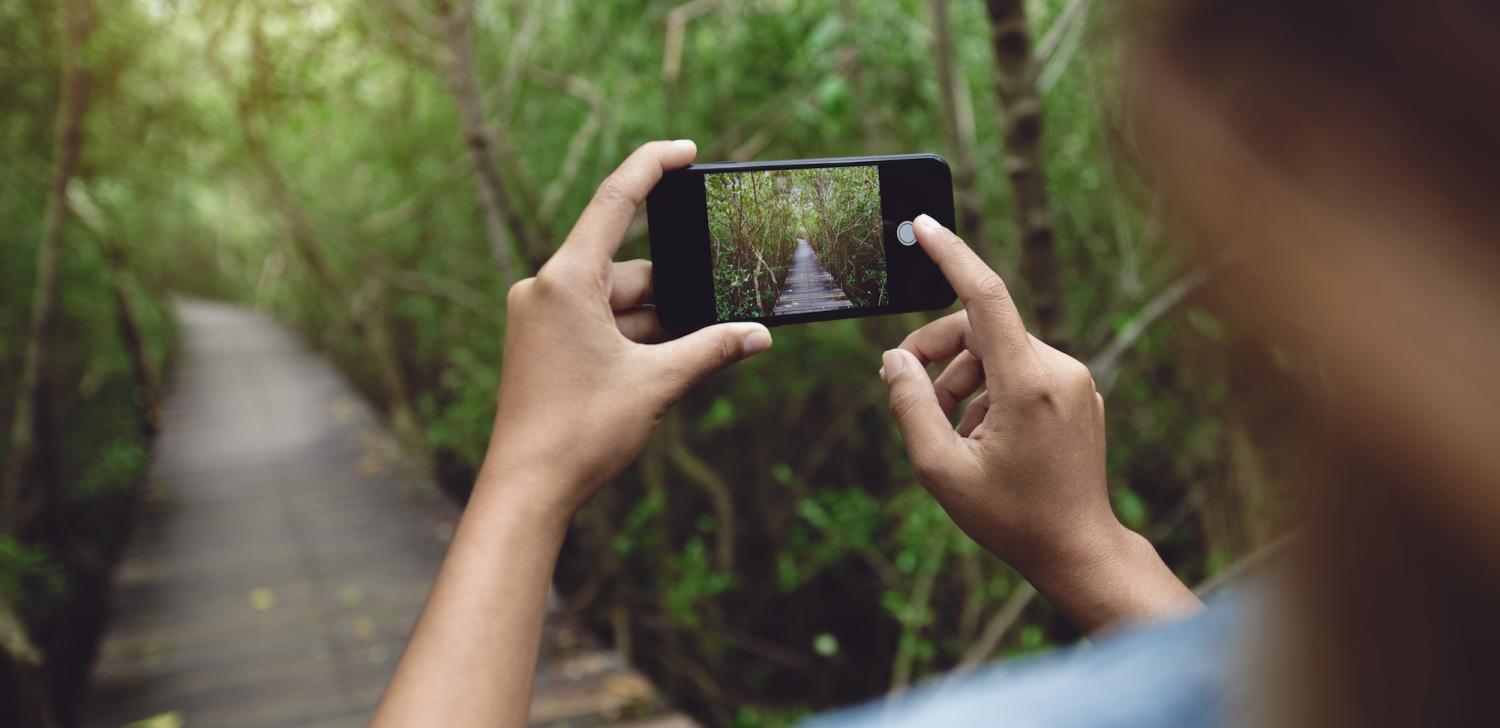 Become a Citizen Scientist this Earth Day