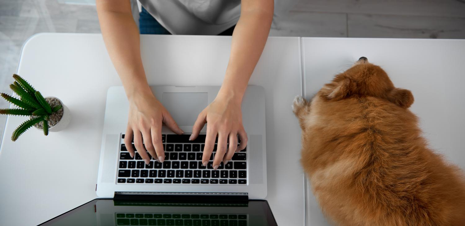 remote worker at desk with laptop and dog