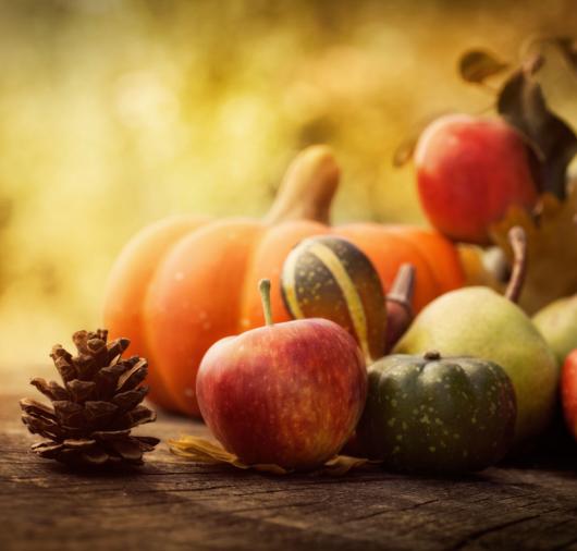 Hawkinsville Harvest Festival Thumbnail