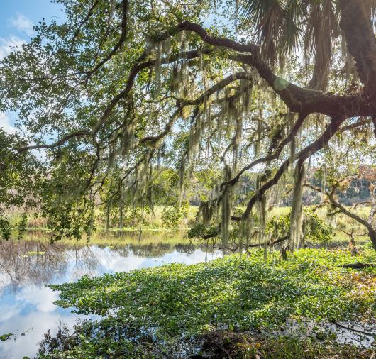 Town of Hardeeville Thumbnail
