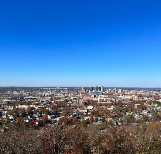 Pell City Skyline